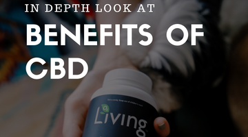 An In-Depth Talk on the Health Benefits of CBD